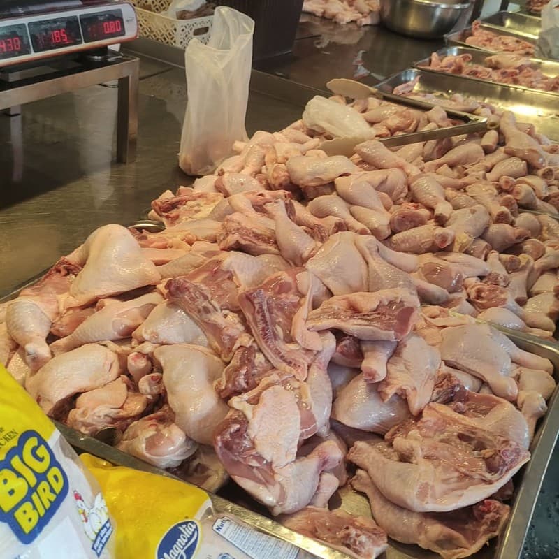 فراخ أمهات كبيرة