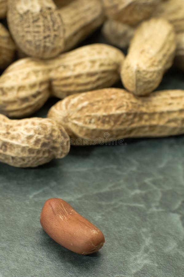 سوداني بقشره أمريكي محمص